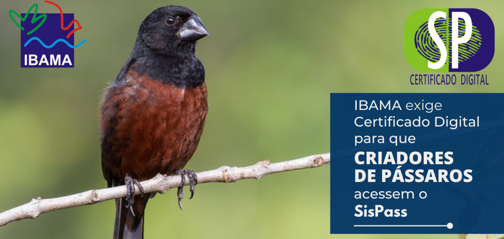 IBAMA exige Certificado Digital para que Criadores de Pássaros acessem o SisPass