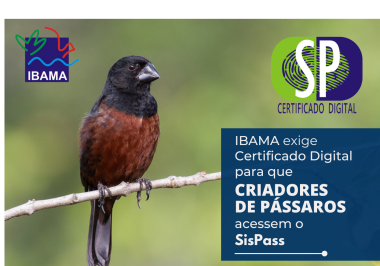 IBAMA exige Certificado Digital para que Criadores de Pássaros acessem o SisPass
